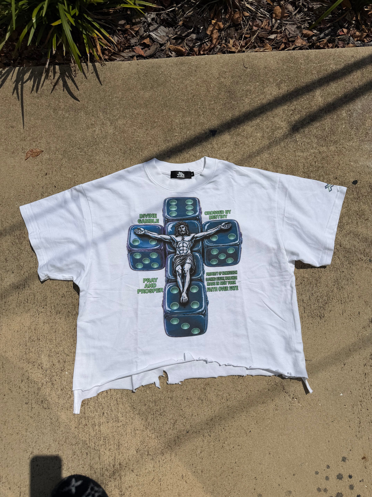 "Prosper Vintage"  Boxy Distressed T-Shirt