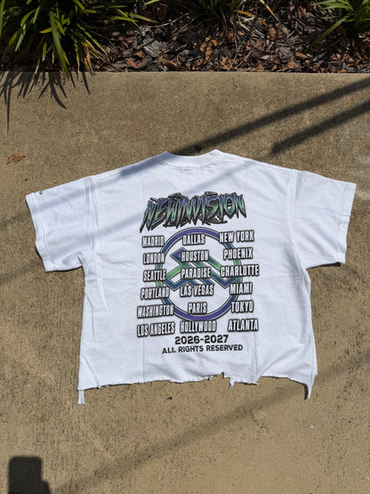"Prosper Vintage"  Boxy Distressed T-Shirt
